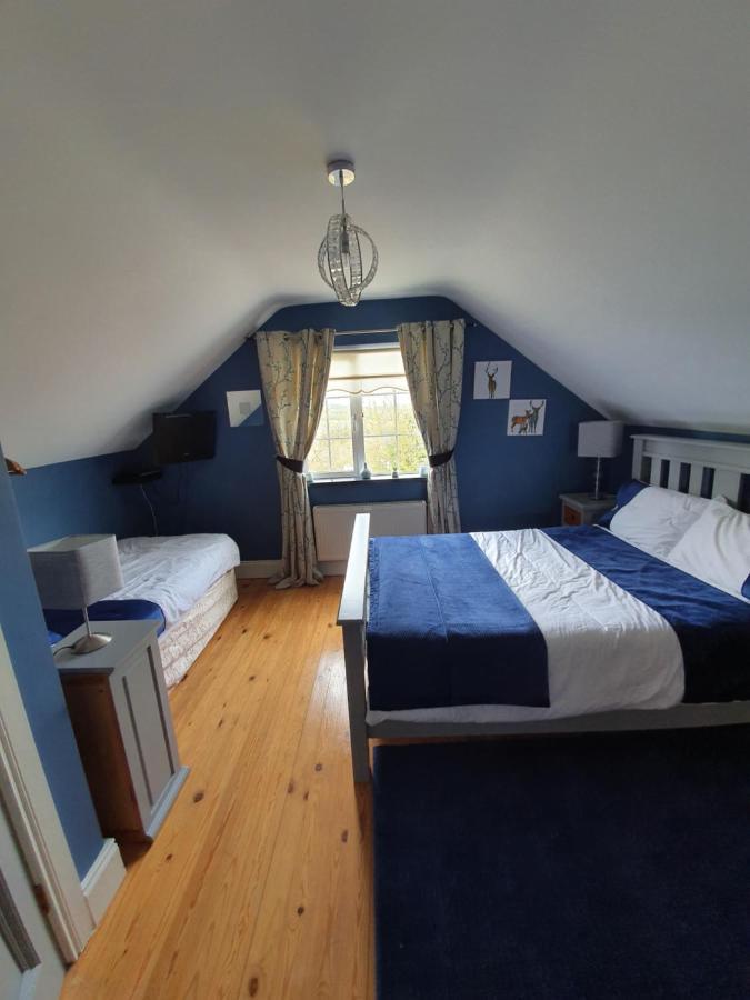 Highfield House Bed And Breakfast Collinstown Collinstown  Kültér fotó